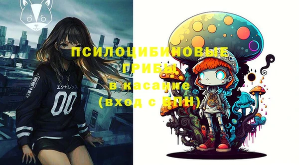 apvp Мегион