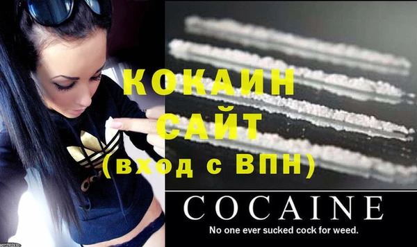 дживик Майский
