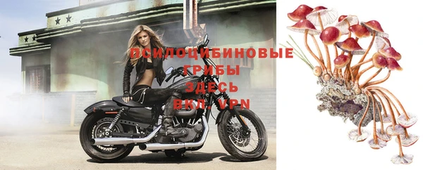 MDMA Premium VHQ Лиски