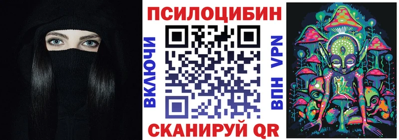 где можно купить наркотик  Лянтор  Псилоцибиновые грибы Psilocybe 